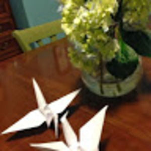 Meet your Posher, Kathleen